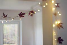 Halloween.Decoración de Otoño