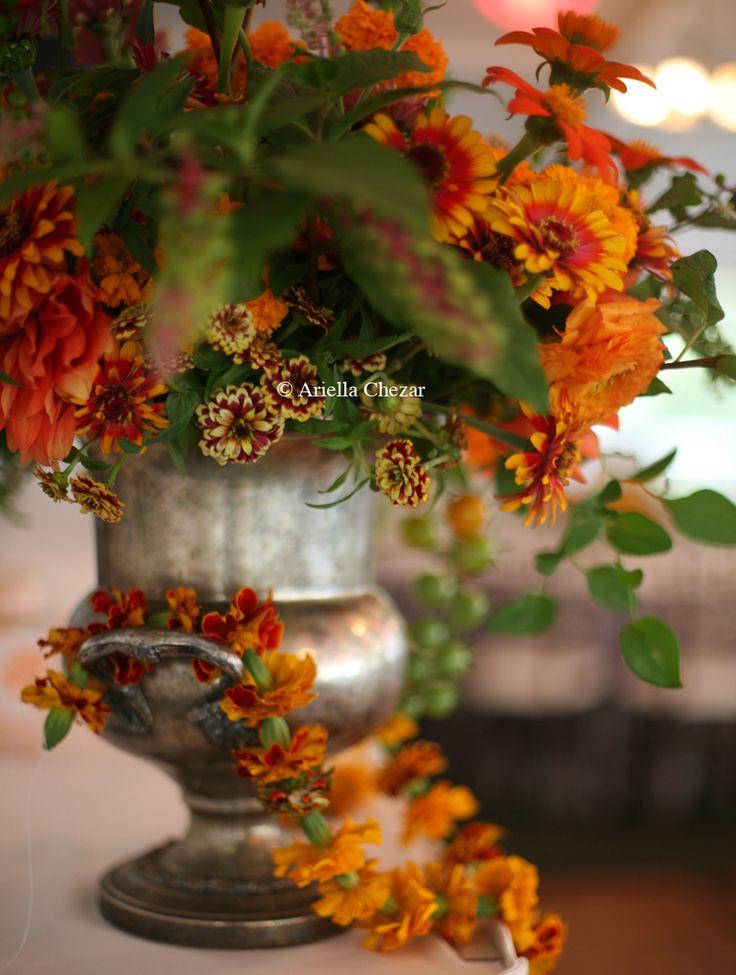 Halloween.Decoración de Otoño