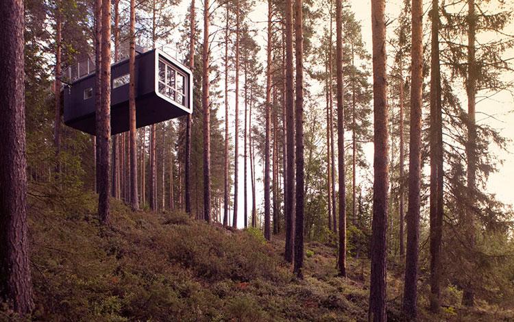Homelifestyle-Magazine-Tree-Hotel-cabine