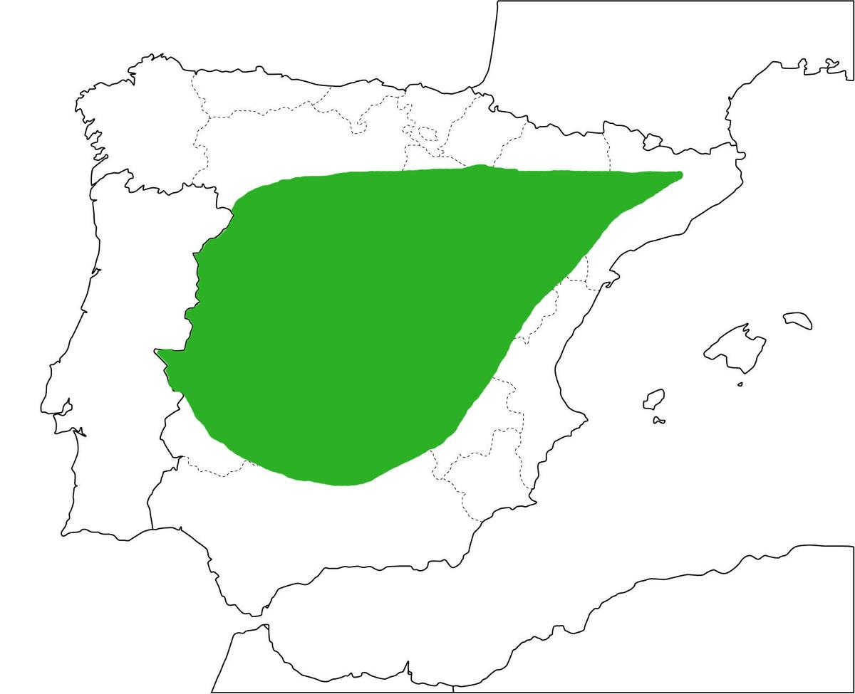 mapa-clima-continental-unhuertoenmibalcon