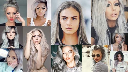 Pelo gris plata tinte Expo B2B