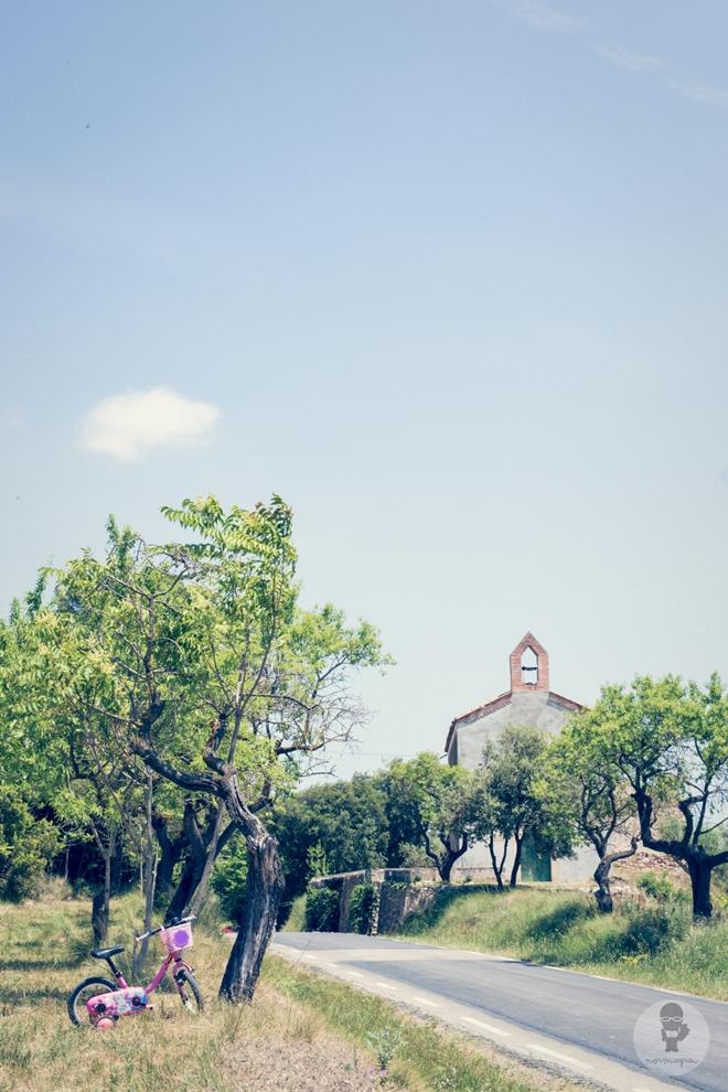 Boda viñedos Norma Grau 15