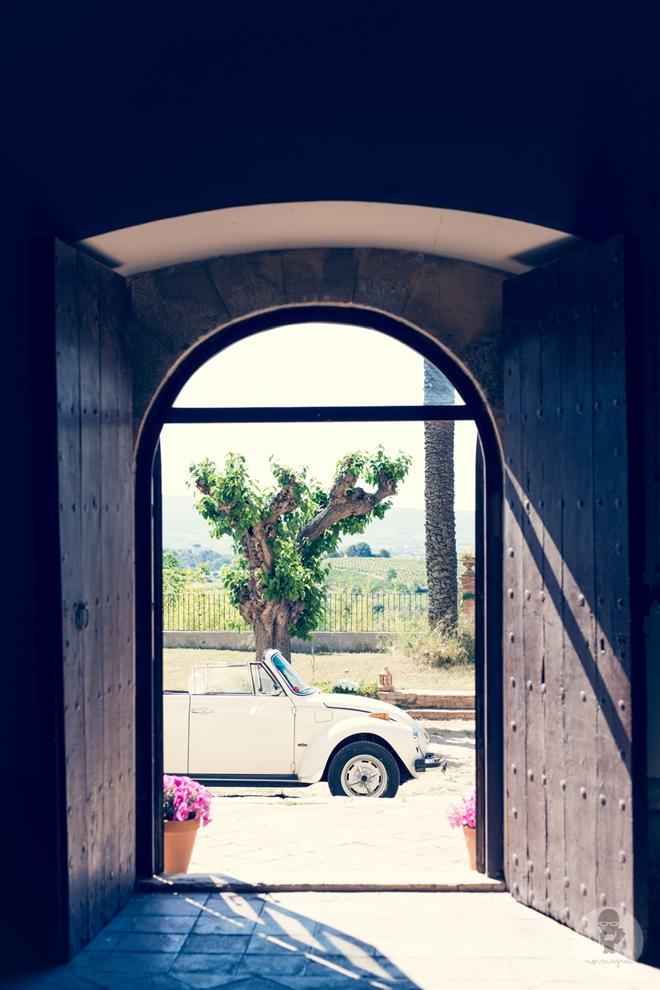 Boda viñedos Norma Grau 05