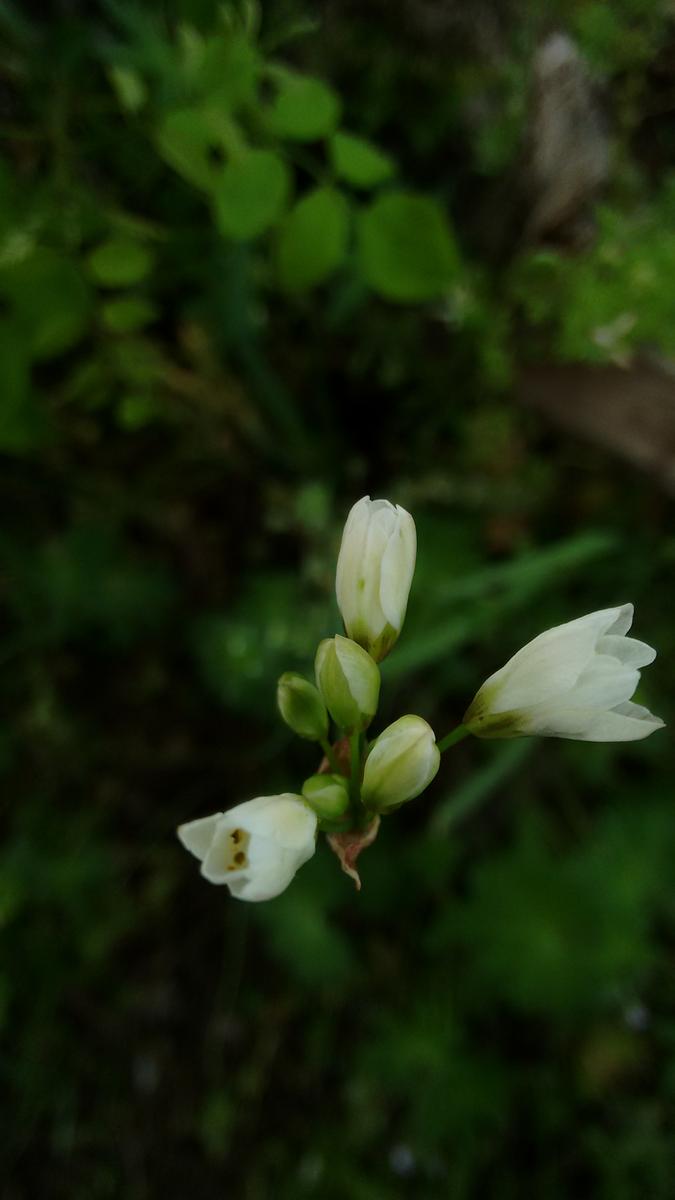 IMG_20151031_104206595