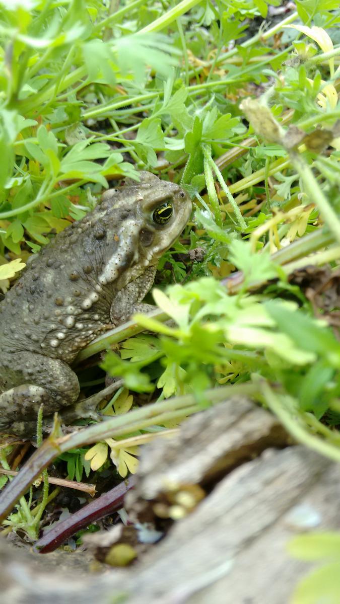 IMG_20151031_104529634