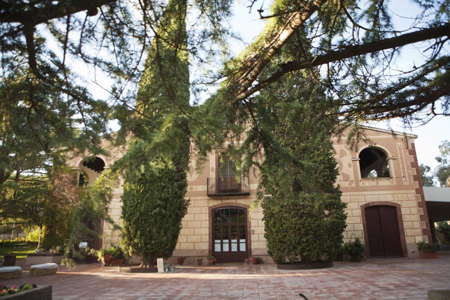 Fiesta otoñal - Decoración de fiestas en All Lovely Party