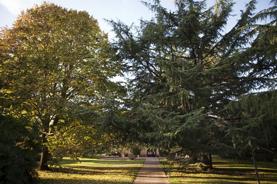 Fiesta otoñal - Decoración de fiestas en All Lovely Party