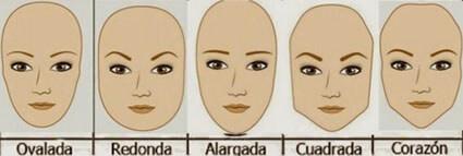 Tipos cejas