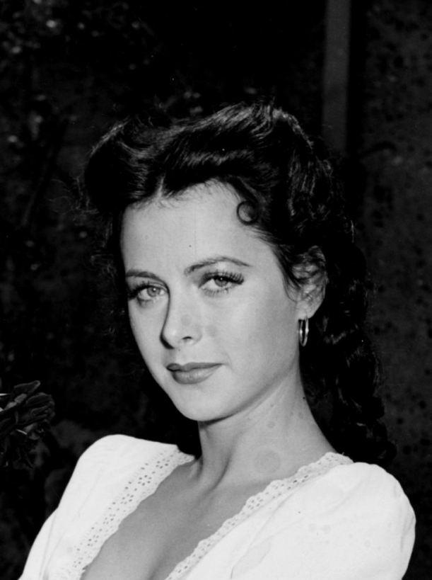 f765b6ef5bb63179da16524bf66d732b