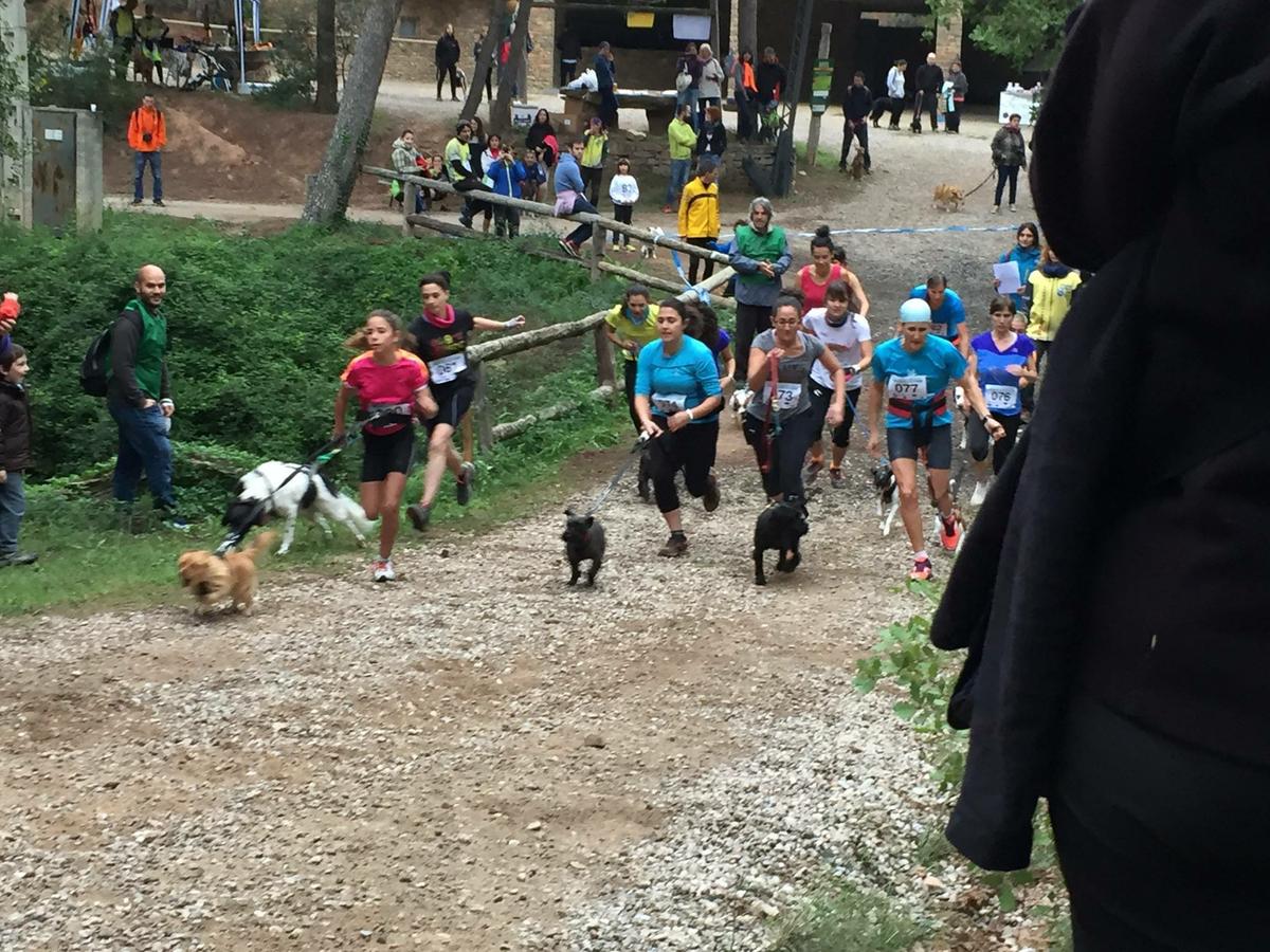 12185105_10153240136713017_789196077644141608_o