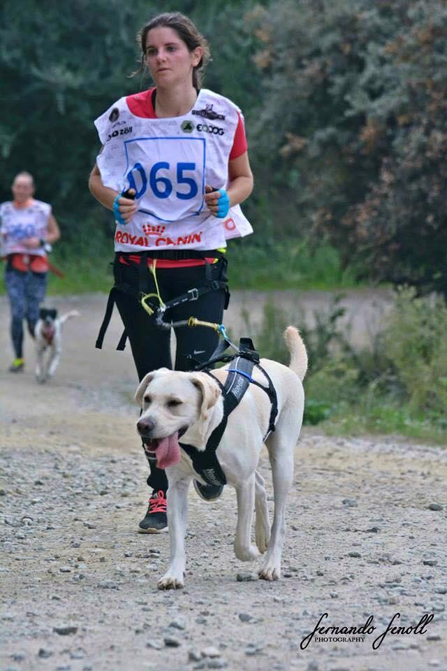 12111974_10153241488548017_5230873817160235276_n