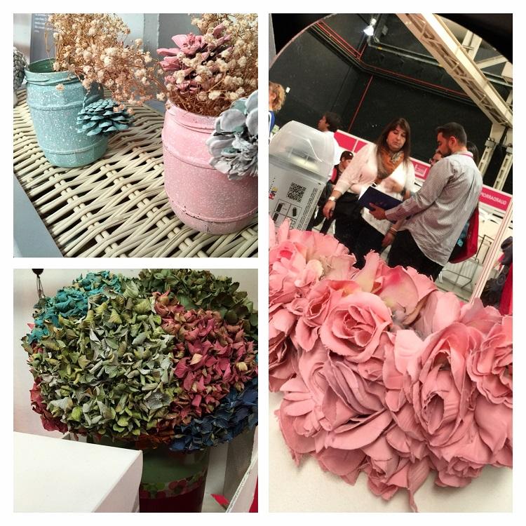 pintyplus creativa 19