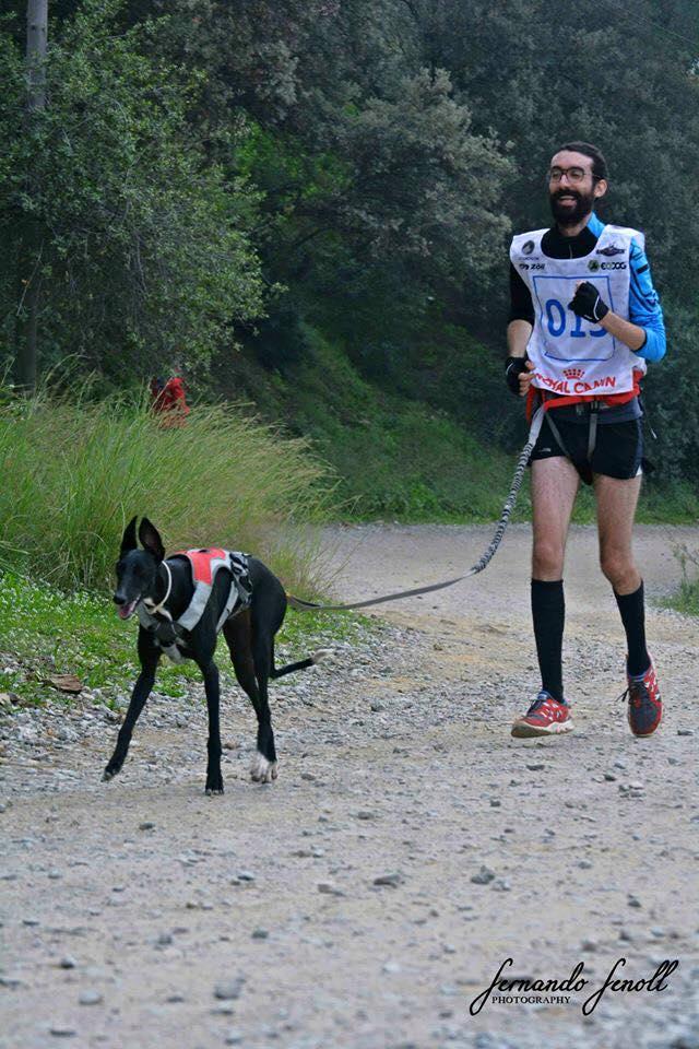 1508035_10153241488493017_4783199313395891209_n