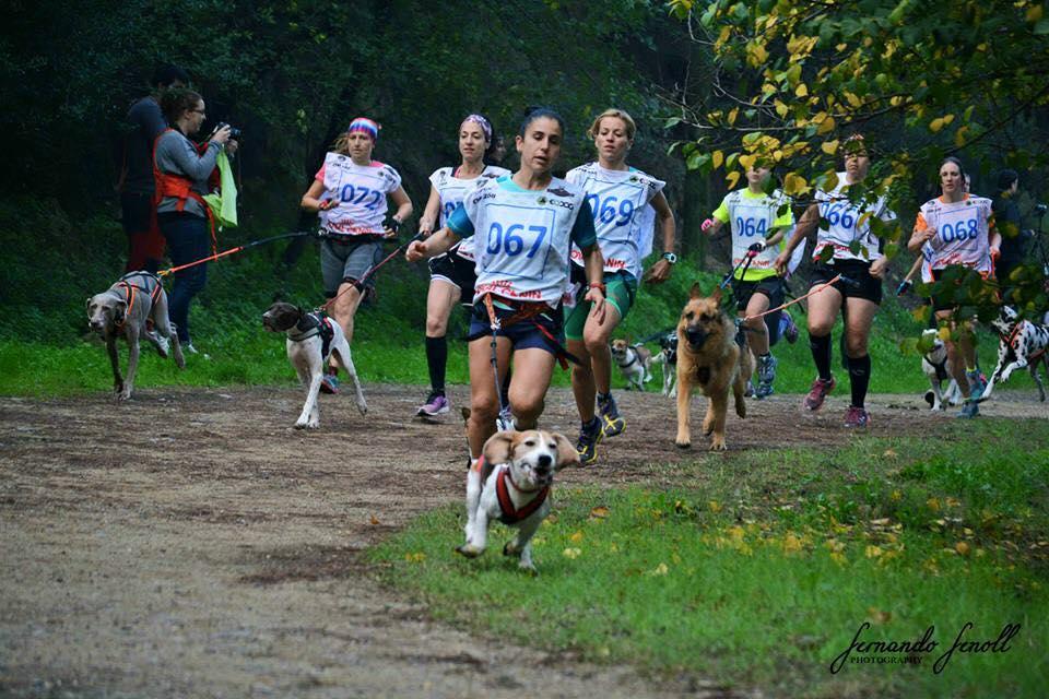 12191873_10153241488328017_7308902683622118779_n