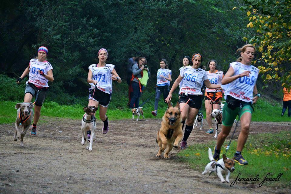 12190994_10153241488478017_1022087462073892188_n