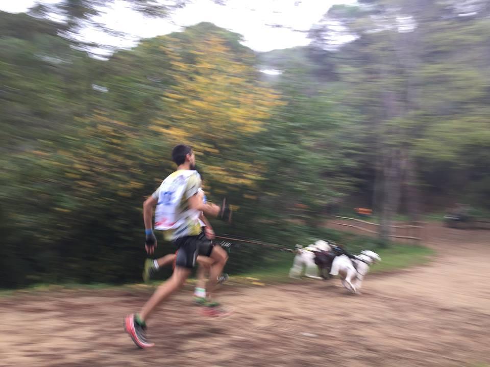 12234888_10153240044363017_4713439367865056633_n