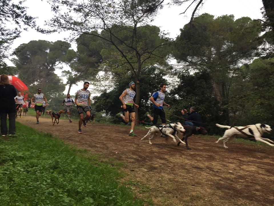 12208292_10153240044098017_7909089816418660501_n