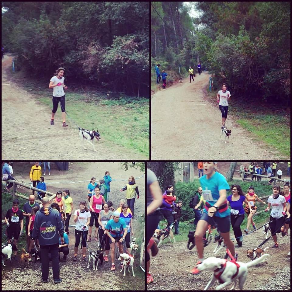 12122869_10153180643688017_3631746001773972379_n