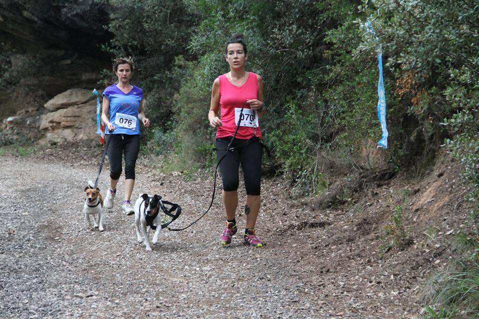 12227160_10153240135463017_7538212405244386063_n