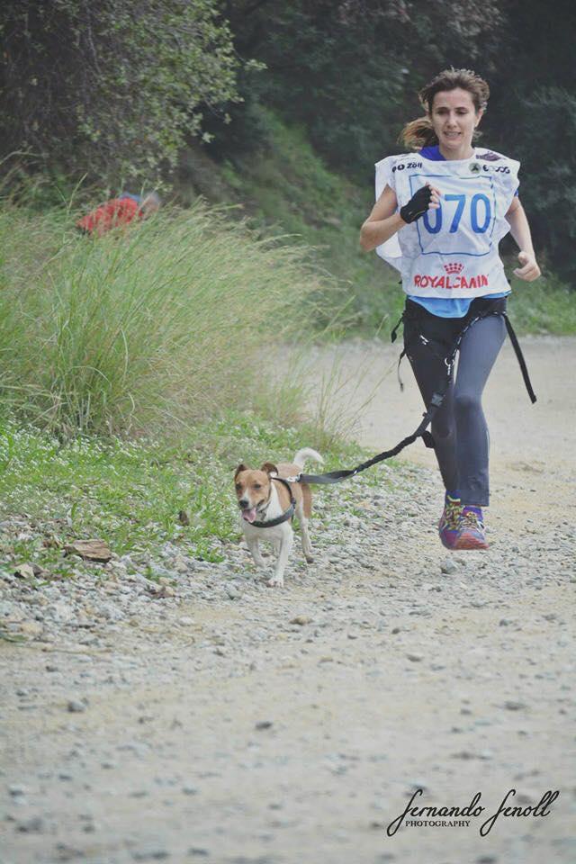 12227208_10153241488408017_8410096761109570076_n