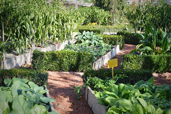 AYS_Veranillo_San_Martin_2