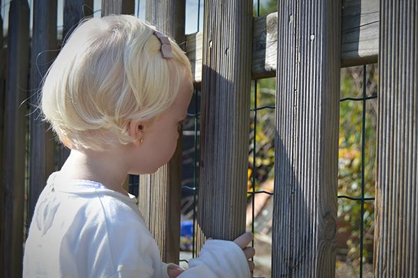 AYS_Veranillo_San_Martin_5