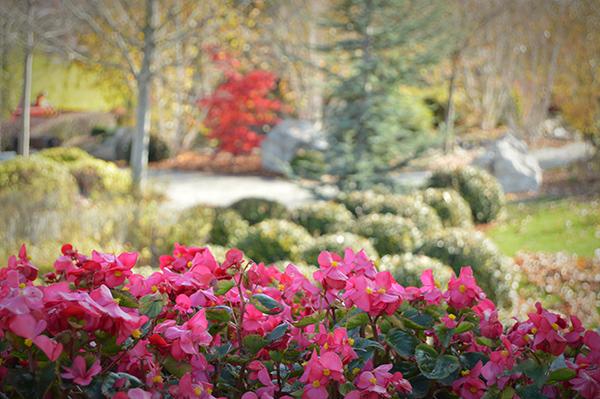 AYS_Veranillo_San_Martin_8