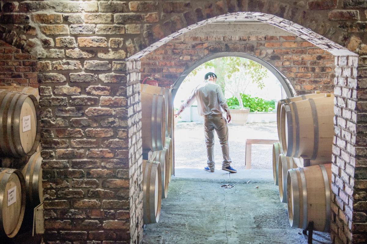 Avron Williams gör vinturer på La Petite Ferme, Franschhoek.