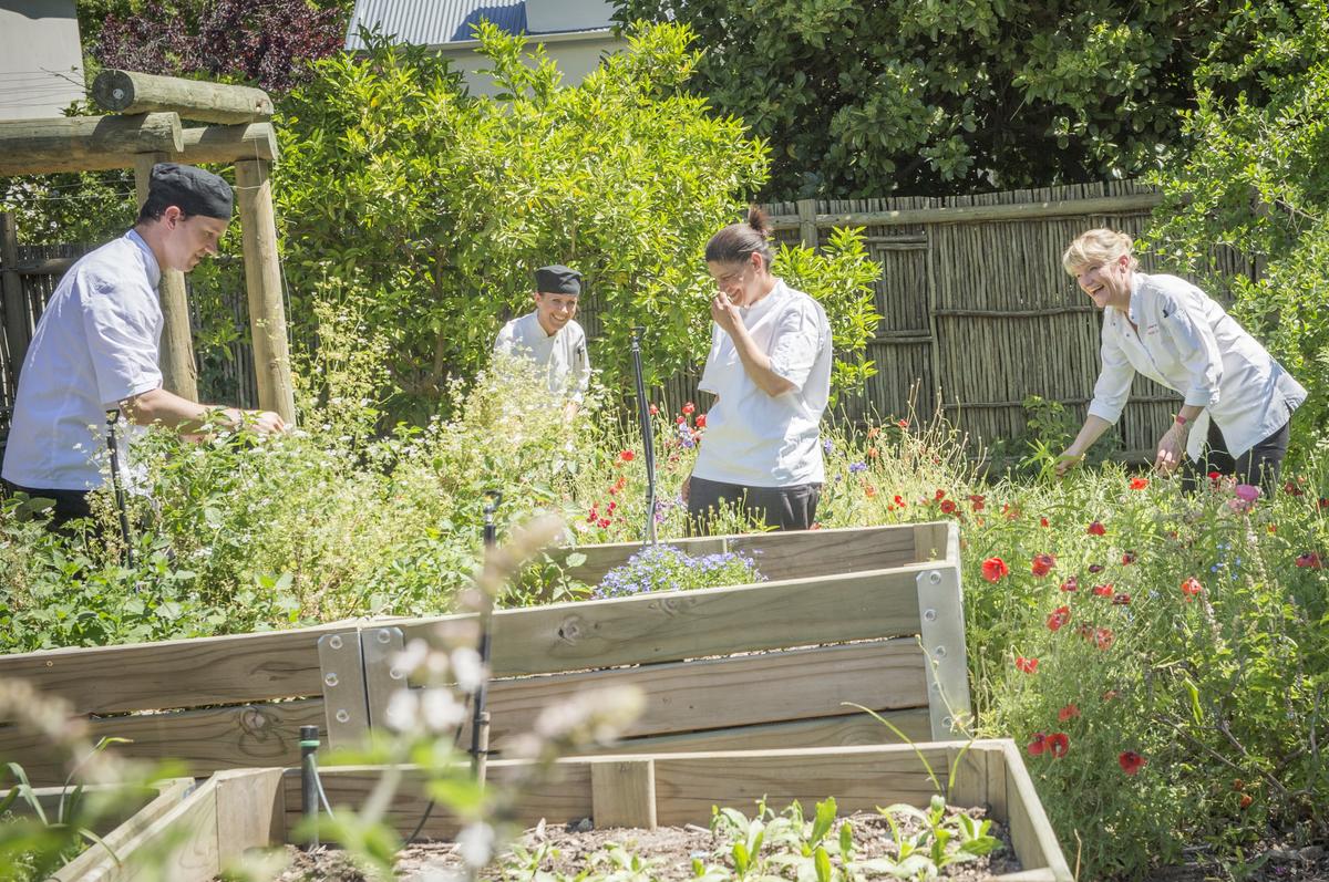 Margot Janse Tasing room (till höger) är i kryddträdgården med kockarna fr v Dean Jones, Mariette Hoogendyk, Annalize Louw.