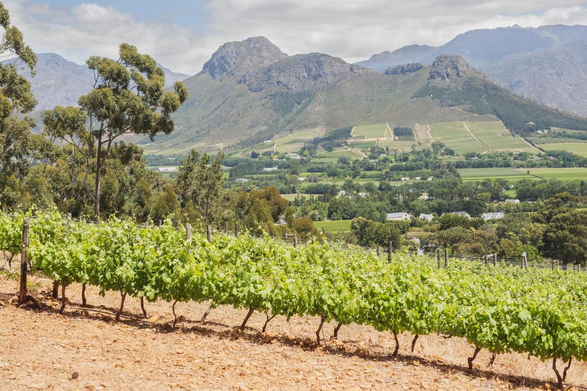 La Petite Ferme, Franschhoek.