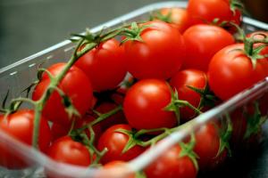 tomates-2