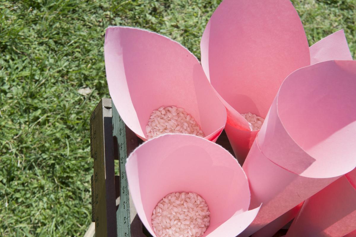 colores-de-boda-42-organizacion-bodas-rincon-conos-arroz-petalos-2