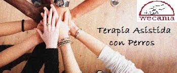 WECANIA JOVENES EN RIESGO DE EXCLUSION TERAPIA ASISTIDA CON PERROS