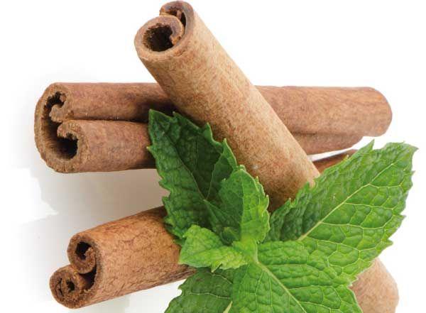 canela remedios naturales