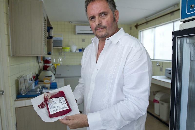 Foto_Banco de Sangre_Perros_Yucatán_Jesús Magaña