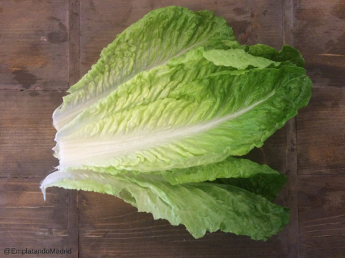 Lechuga romana fresca