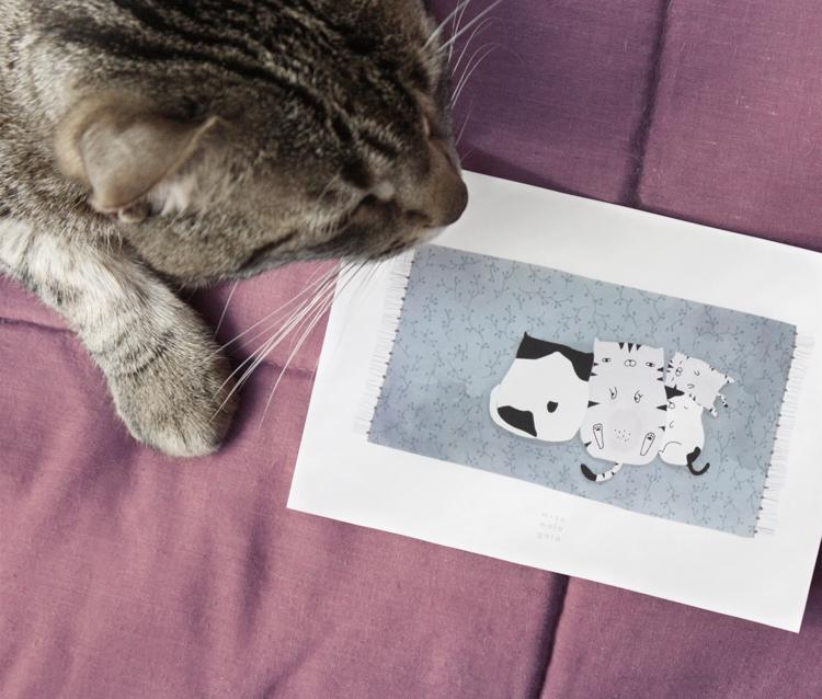 wpl-2015-missmalagata