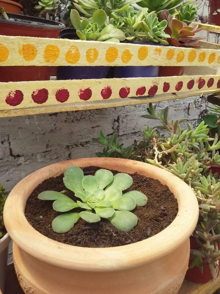 11036411_446943278830887_4404298349214041585_n