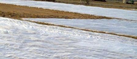 manta termica agricola profesional