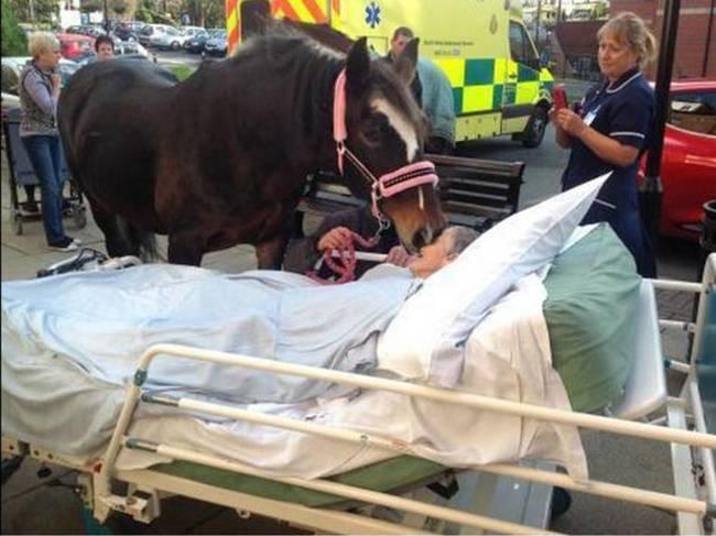 ultimo deseo antes de morir