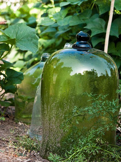 Invernaderos pequeños 14