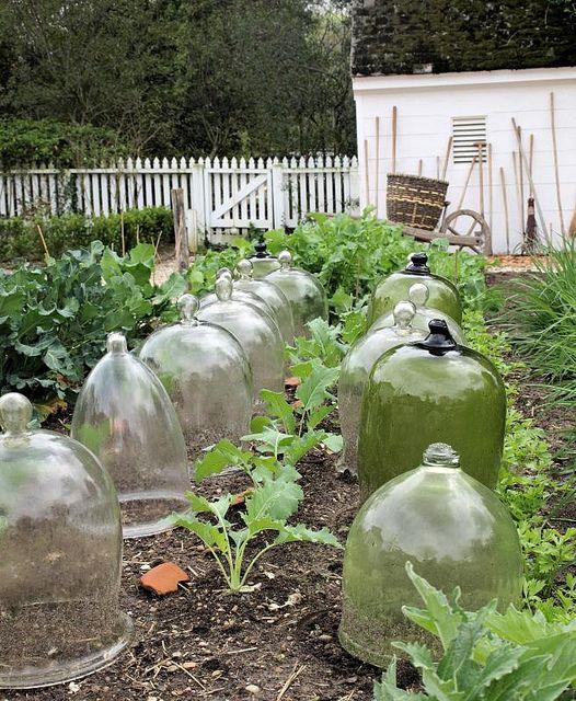 Invernaderos pequeños 19