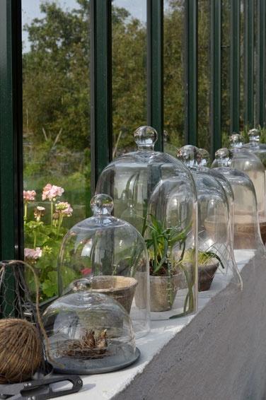 Invernaderos pequeños 23