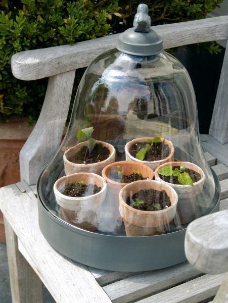 Invernaderos pequeños 16