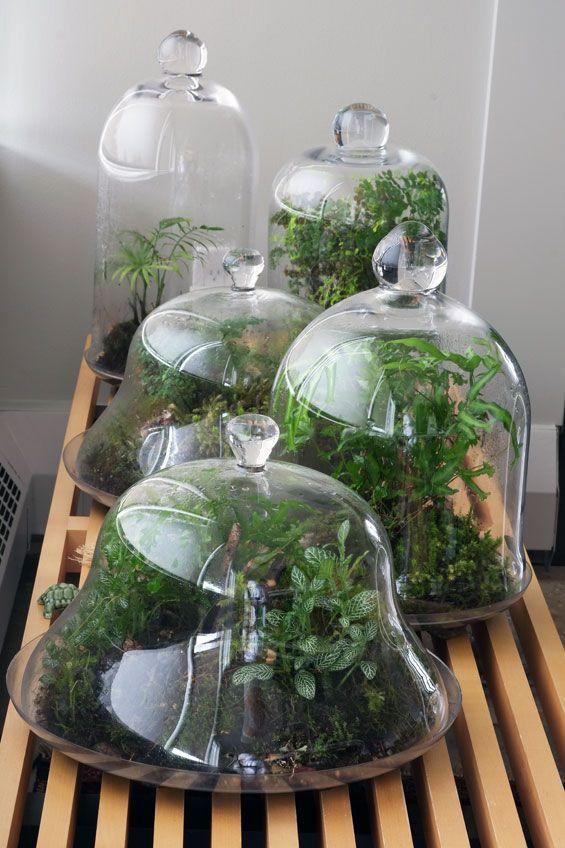 Invernaderos pequeños 17