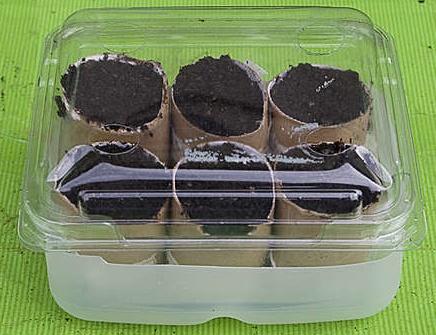 Invernaderos pequeños 5