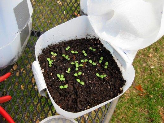 Invernaderos pequeños 9