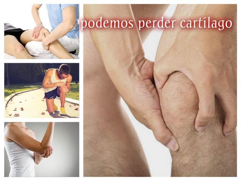 Collage_perder_cartilago_red