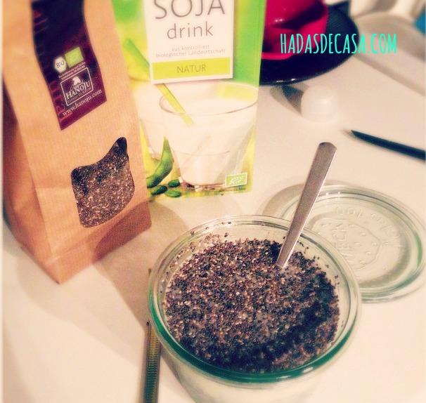pudding de semillasde chia