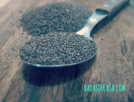 pudding de semillasde chia